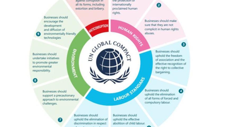 CURIOO Joins UN Global Compact for the Third Year