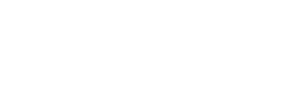 كيوريوكيدز مصر